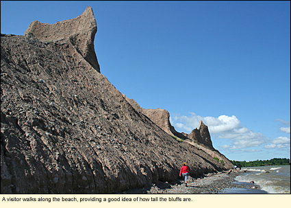 A visitor walks along the beach at Chimney Bluffs State Park, providing a good idea of how tall the bluffs are.