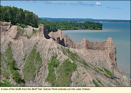 A view of the bluffs from the Bluff Trail at Chimney Bluffs State Park. Garner Point extends out into Lake Ontario.