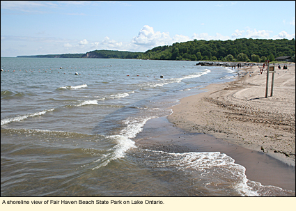 A shoreline view of Fair Haven Beach State Park on Lake Ontario.