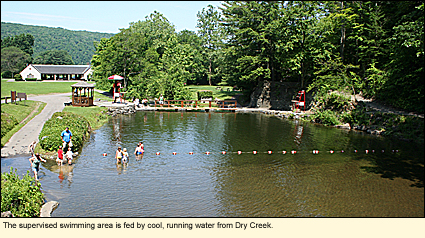 The supervised swimming area is fed by cool, running water from Dry Creek in Fillmore Glen State Park in Moravia, New York, USA.