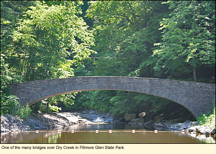 One of the many bridges over Dry Creek in Fillmore Glen State Park in Moravia, New York.