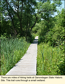 There are miles of hiking trails at Ganondagan State Historic Site. This trail runs through a small wetland.