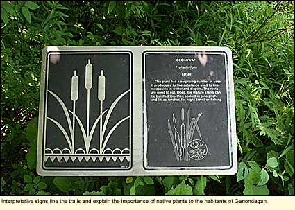 Interpretative signs line the trails and explain the importance of native plants to the havitants of Ganondagan State Historic Site.