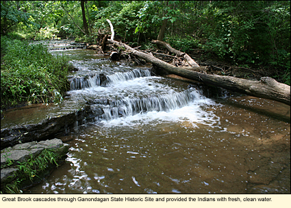 Great Brook cascades through Ganondagan State Historic Site and provided the Indians with fresh, clean water.