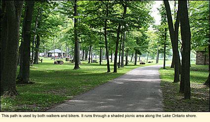 This path is used by both walkers and bikers. It runs through a shaded picnic area along the Lake Ontario shore.