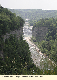 The genesee River Gorge in Letchworth State Park in the Finger Lakes, New York, USA.