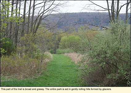 This part of the trail is broad and grassy. The entire park is set in gently rolling hills formed by glaciers.