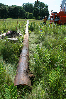 Photo 6-The used cedar pole is 45 feet long, 7 feet of which was sunk in the ground. Credit: Ronda Roaring