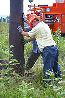 Photo 10-The pole is positioned over the hole by members of the NYSEG crew. Credit: Ronda Roaring