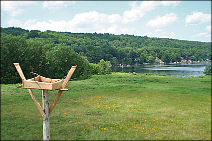 A bird's-eye view of the lake from the nest platform. Credit: Ronda Roaring