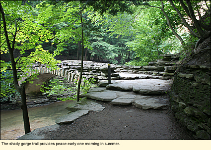 The shady gorge trail provides peace early one morning in summer.