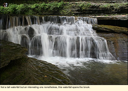 Not a tall waterfall but an interesting one nonetheless, this waterfall in Stony Brook State Park spans the brook.