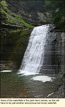 None of the waterfalls in Stony Brook State Park have names, so this will have to be just another anonymous but lovely waterfall.