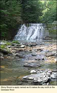 Stony brook is apply named as it makes its way north to the Genesee River.