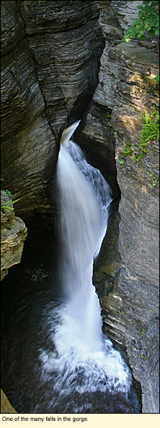 One of the many falls in the gorge at Watkins Glen State Park in Watkins Glen, New York.