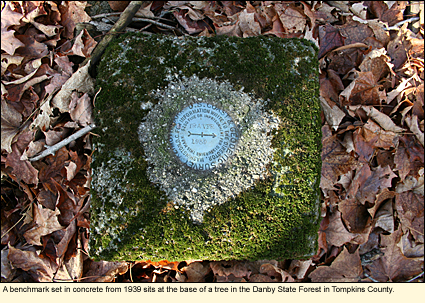 A benchmark set in contrete from 1939 sits at the base of a tree in the Danby State Forest in Tompkins County, New York USA.