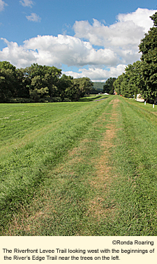 The Riverfront Levee Trail looking west with the beginnings of the River's Edge Trail near the trees on the left.