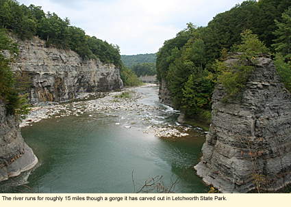 The Genesee River runs roughly 15 miles through a gorge it has carved out in Letchworth State Park.