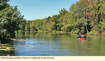 Canoers head up Black Creek on a bright day in late summer.