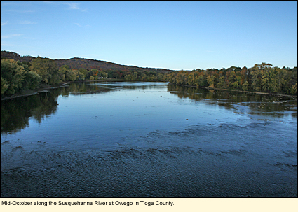Mid-October along the Susquehanna River at Owego in Tioga County, New York.