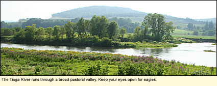 The Tioga River runs through a broad, pastoral valley. Keep your eyes open for eagles.
