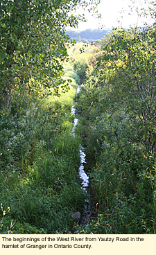 The beginnings of the West River from Yautzy Road in the hamlet of Granger in Ontario County.